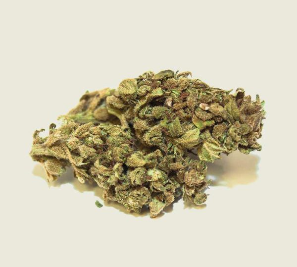 Product photo of our organic CBD aroma flower "Exotic"