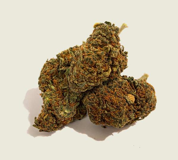 Product photo of our organic CBD aroma flower "V12"